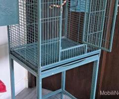 Big BEAUTIFUL Parrot cage