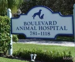 Boulevard animal hospital