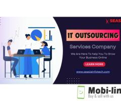BEST IT OUTSOURCING SOLUTIONS - SEASIA INFOTECH