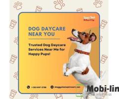 TRUSTED DOG DAYCARE SERVICES NEAR ME FOR HAPPY PUPS