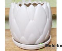 ORCHID POTTERY: ENHANCE YOUR ORCHIDS WITH REFINED ELEGANCE OF GLAZED CERAMIC