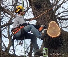 Tree trimming and limb removal