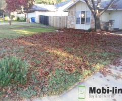 raking leaves,full lawnmower