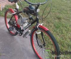 Orlando Cheap 2 Stroke Bike For Sale