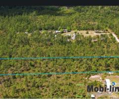 5 acreas of beautiful hunting, camping, or trailer land for sale
