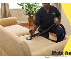 FRESHEN UP YOUR HOME: UPHOLSTERY CLEANER IN 373