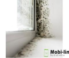 GET MOLD REMOVAL SERVICES IN MARIETTA TO KEEP YOUR HOME CLEAN AND HEALTHY