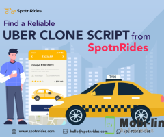 What benefits do businesses gain from launching an AI ride-hailing app?